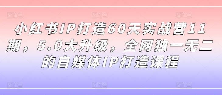 小红书IP打造60天实战营11期，5.0大升级，全网独一无二的自媒体IP打造课程-云创网