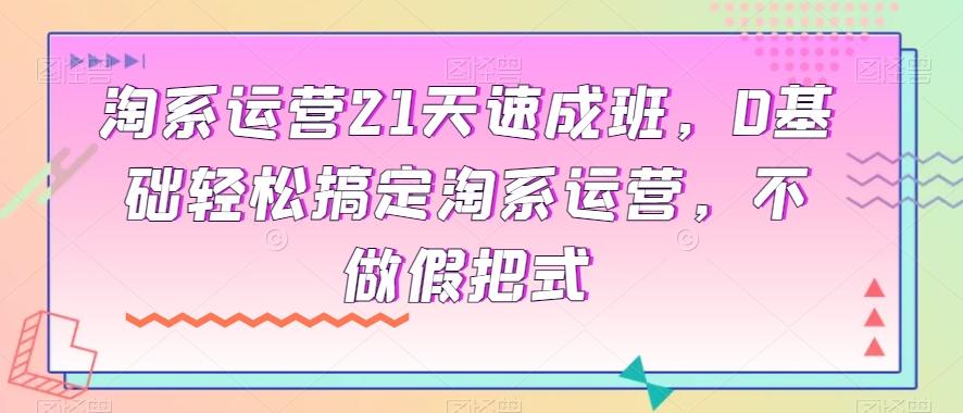 淘系运营21天速成班，0基础轻松搞定淘系运营，不做假把式-云创网
