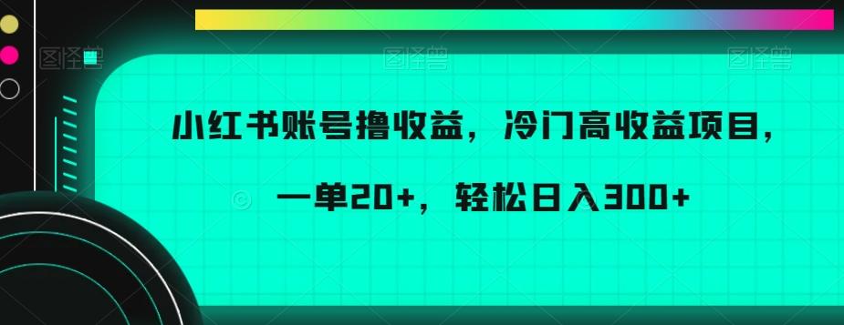 小红书账号撸收益，冷门高收益项目，一单20+，轻松日入300+【揭秘】-云创网