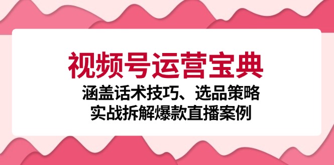 视频号运营宝典：涵盖话术技巧、选品策略、实战拆解爆款直播案例-云创网