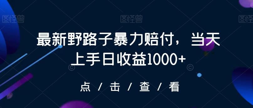 最新野路子暴力赔付，当天上手日收益1000+【仅揭秘】-云创网