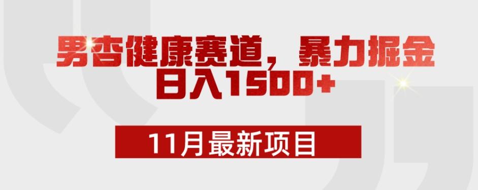 11月最新项目，男杏健康赛道，暴力掘金，日入1500+-云创网
