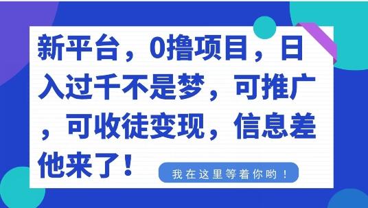 不要再花冤枉钱了，0撸项目，每天坚持，稳定1000+-云创网