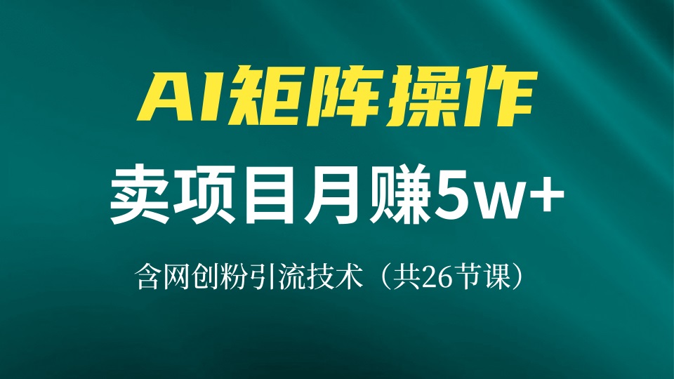 网创IP打造课，借助AI卖项目月赚5万+，含引流技术(共26节课-云创网