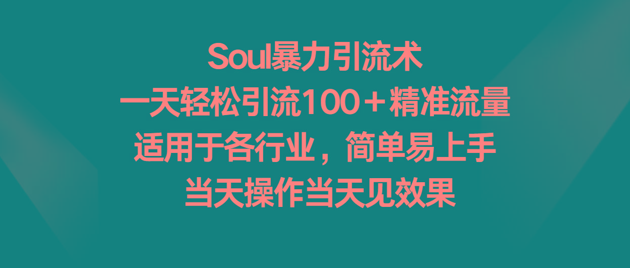 Soul暴力引流术，一天轻松引流100＋精准流量，适用于各行业，简单易上手！-云创网