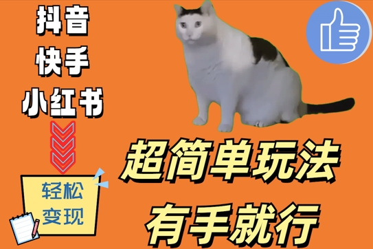 超简单玩法，有手就行，靠猫咪视频日入500+【揭秘】-云创网