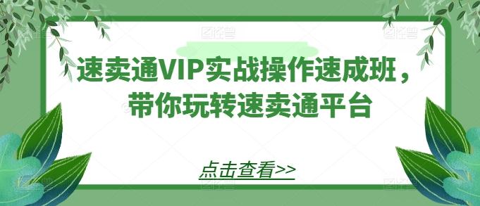 速卖通VIP实战操作速成班，带你玩转速卖通平台-云创网