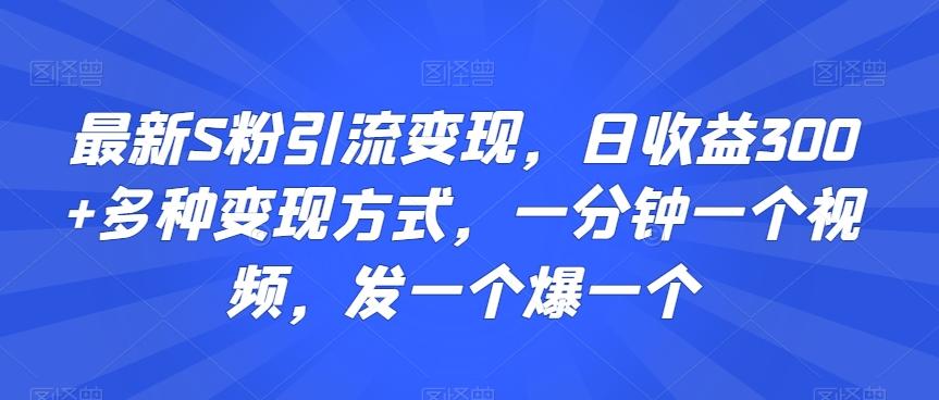 最新S粉引流变现，日收益300+多种变现方式，一分钟一个视频，发一个爆一个【揭秘】-云创网