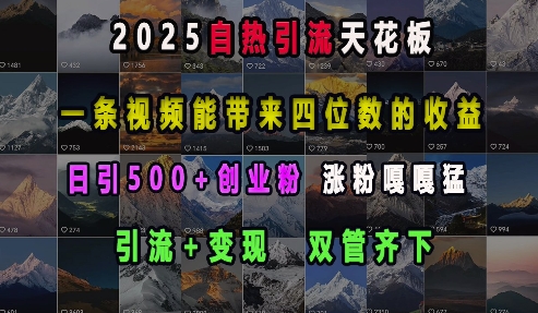 2025自热引流天花板，一条视频能带来四位数的收益，引流+变现双管齐下，日引500+创业粉，涨粉嘎嘎猛-云创网