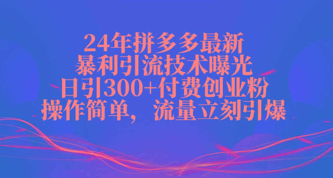 24年拼多多最新暴利引流技术曝光，日引300+付费创业粉，操作简单，流量...-云创网