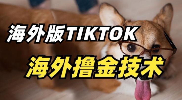 抖音海外版tiktok撸金技术，这个风口行业，赚钱真的不难【揭秘】-云创网