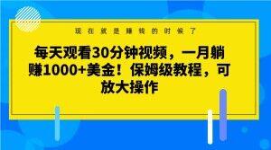每天观看30分钟视频，一月躺赚1000+美金！保姆级教程，可放大操作【揭秘】-云创网