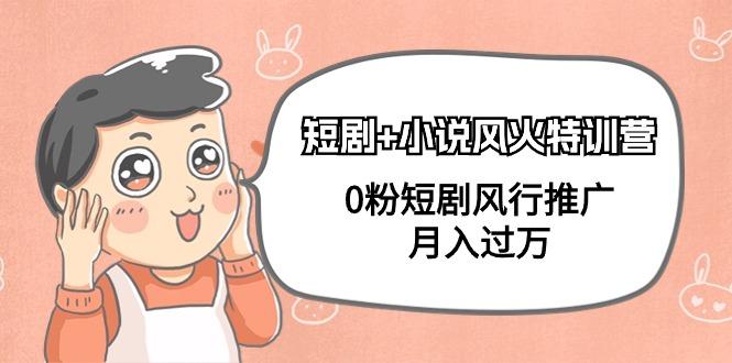 (9374期)短剧+小说风火特训营，0粉短剧风行推广，月入过万(102节课)-云创网