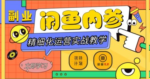 闲鱼精细化运营入门+高阶实战教学，从底层逻辑到轻松变现，多维度玩转闲鱼副业-云创网