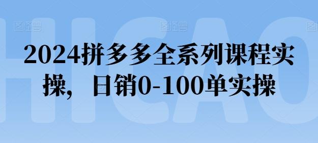 2024拼多多全系列课程实操，日销0-100单实操【必看】-云创网