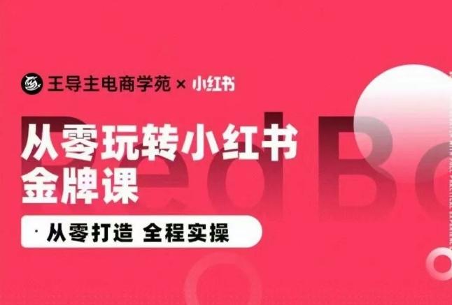 王导主·小红书电商运营实操课，​从零打造  全程实操-云创网