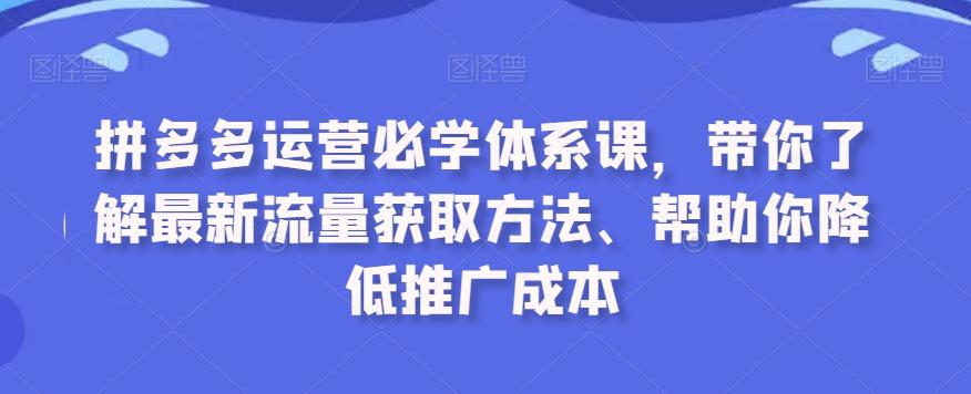 拼多多运营必学体系课，带你了解最新流量获取方法、帮助你降低推广成本-云创网
