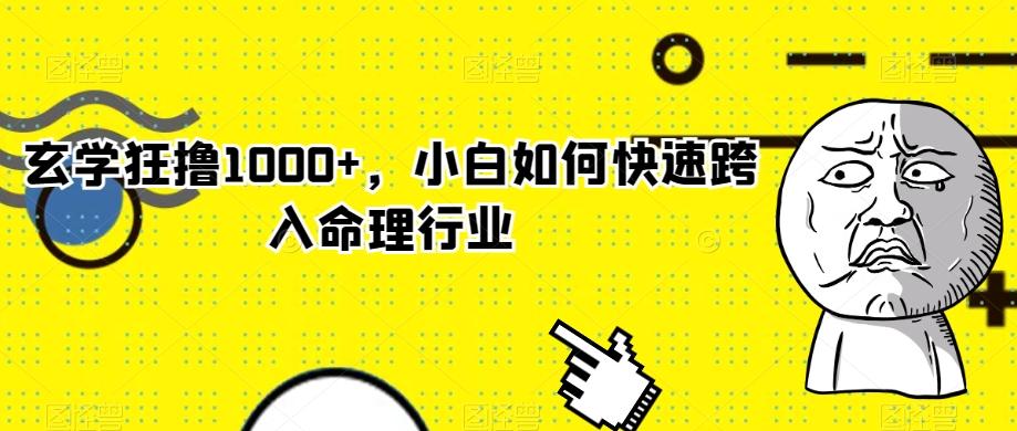 玄学狂撸1000+，小白如何快速跨入命理行业-云创网