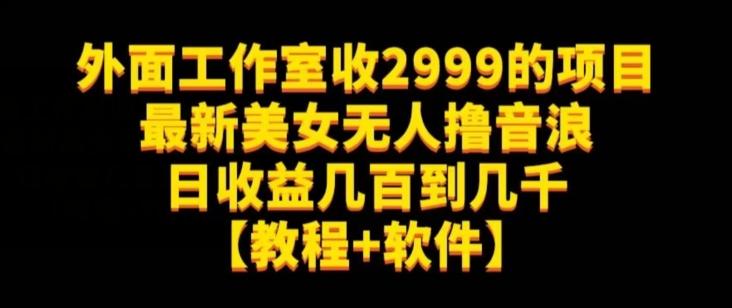 外面工作室收2999的项目最新美女无人撸音浪日收益几百到几千【教程+软件】（仅揭秘）-云创网