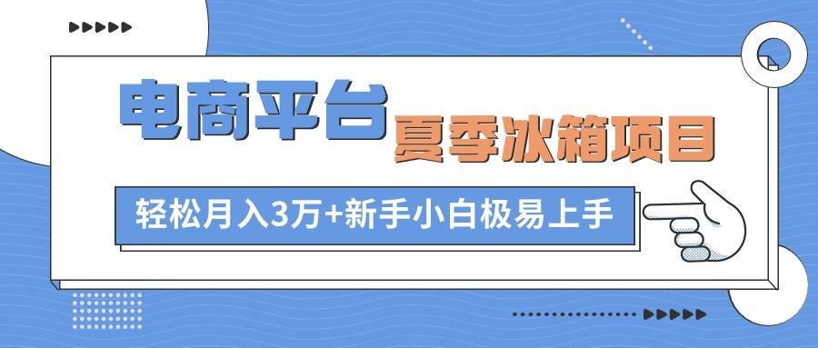 电商平台夏季冰箱项目，轻松月入3万+，新手小白极易上手-云创网