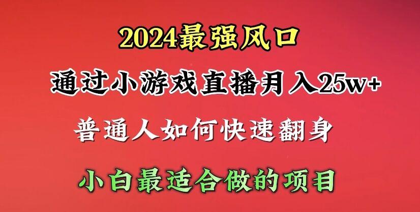 (10020期)2024年最强风口，通过小游戏直播月入25w+单日收益5000+小白最适合做的项目-云创网