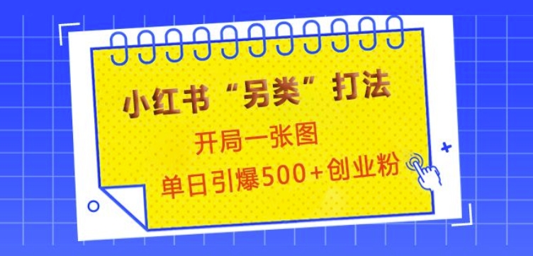 小红书“另类”打法，开局一张图，单日引爆500+精准创业粉【揭秘】-云创网