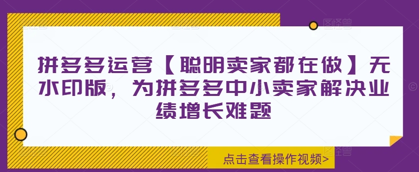拼多多运营【聪明卖家都在做】无水印版，为拼多多中小卖家解决业绩增长难题-云创网