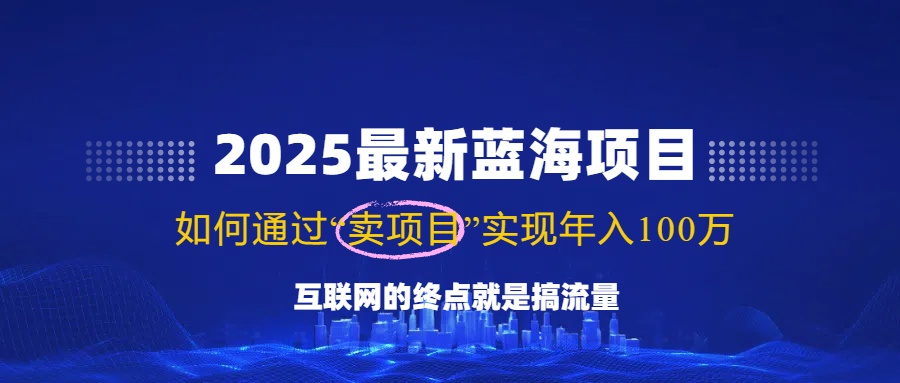 2025最新蓝海项目，零门槛轻松复制，月入10万+，新手也能操作！-云创网