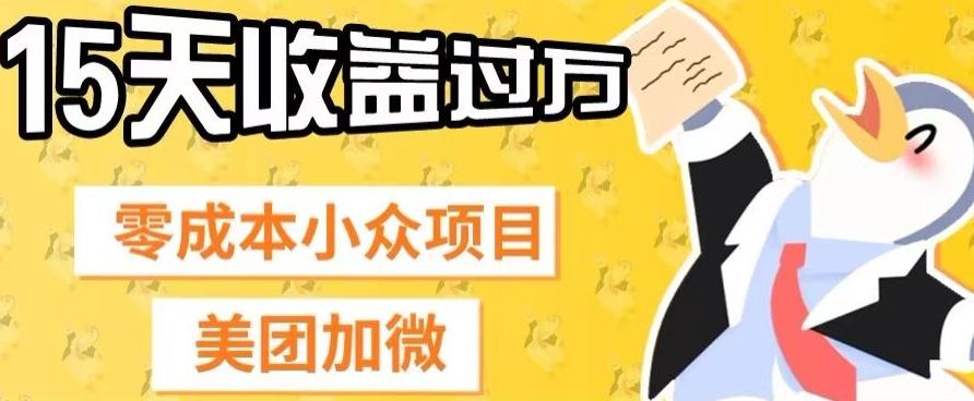 零成本小众项目，美团加微，一单4.5+，15天已经有人赚上万收益-云创网