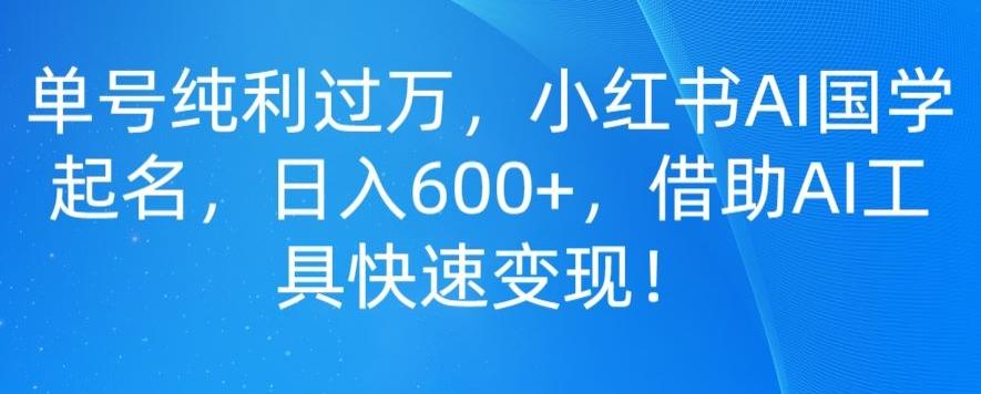 单号纯利过万，小红书AI国学起名，日入600+，借助AI工具快速变现-云创网