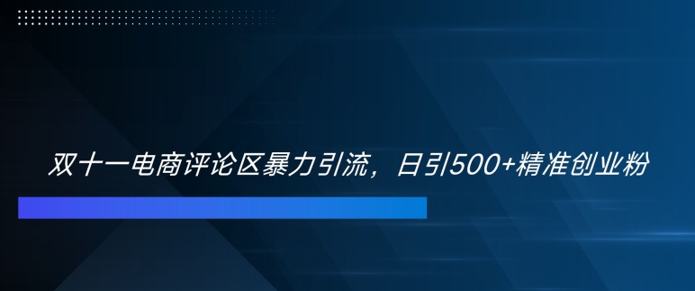双十一电商评论区暴力引流，日引500+精准创业粉【揭秘】-云创网