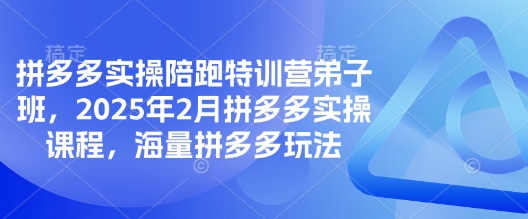 拼多多实操陪跑特训营弟子班，2025年2月拼多多实操课程，海量拼多多玩法-云创网