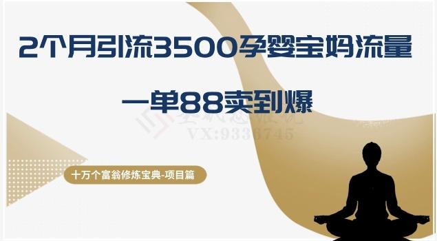 十万个富翁修炼宝典之13.2个月引流3500孕婴宝妈流量，一单88卖到爆-云创网